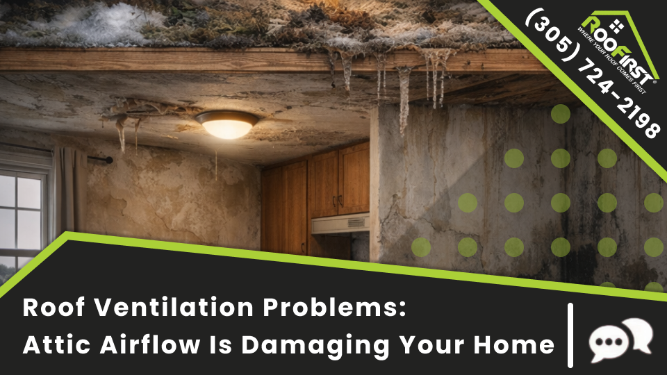 Roof Replacement: Signs You Need a New Roof
