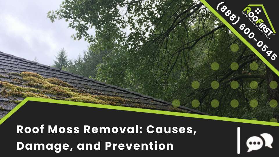 Roof Moss Removal_ Causes, Damage, and Prevention